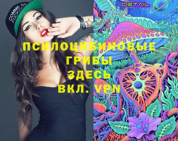 спиды Алексеевка
