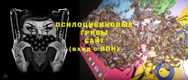 спиды Алексеевка