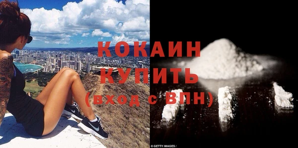 твердый Алексин