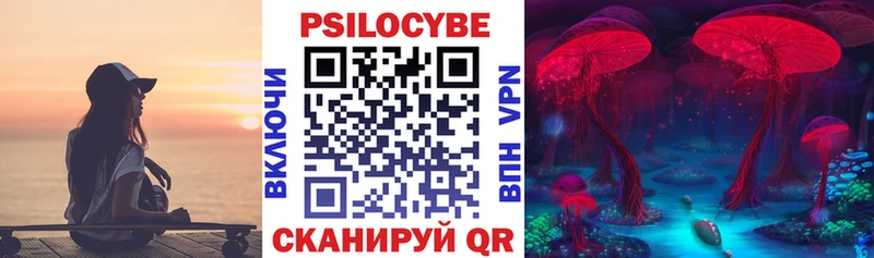 Псилоцибиновые грибы Cubensis  Пролетарск 